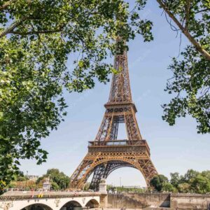 Eiffel Tower Photograph Framed by Trees on Sunny Day