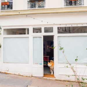 Parisian White Café With Dog At Doorway