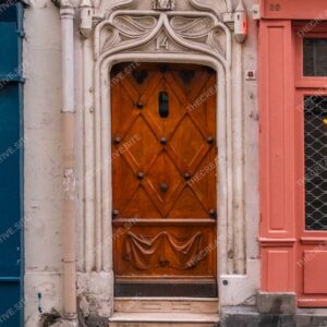 Art Nouveau Parisian Door With Lion Relief And Marble Details