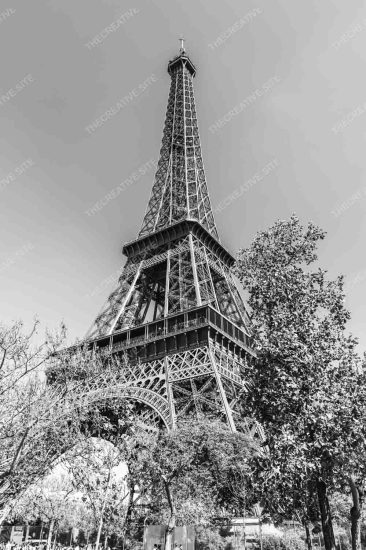 Photo.thecreative.site.0000469